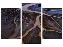 modern-3-piece-canvas-print-flying-over-lake-magadi-i