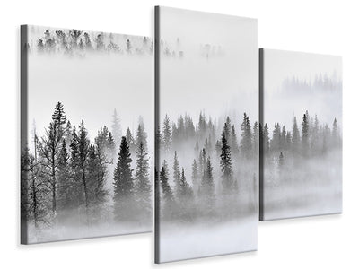 modern-3-piece-canvas-print-foggy-forest