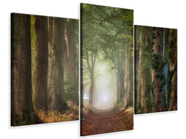 modern-3-piece-canvas-print-forward