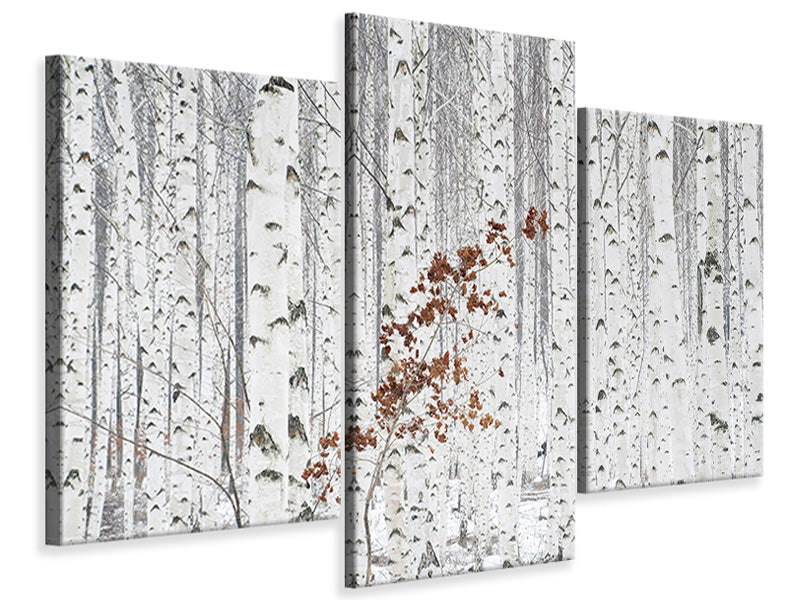 modern-3-piece-canvas-print-from-white