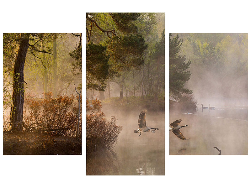 modern-3-piece-canvas-print-goose-fight