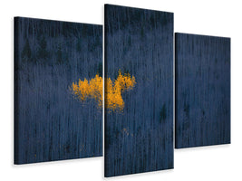modern-3-piece-canvas-print-heart-of-aspens