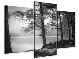 modern-3-piece-canvas-print-loch-an-eilein