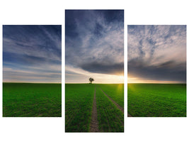 modern-3-piece-canvas-print-loner-in-the-sun