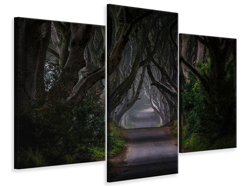 modern-3-piece-canvas-print-magic-road