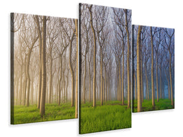 modern-3-piece-canvas-print-morning-of-the-forest