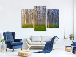 modern-3-piece-canvas-print-morning-of-the-forest