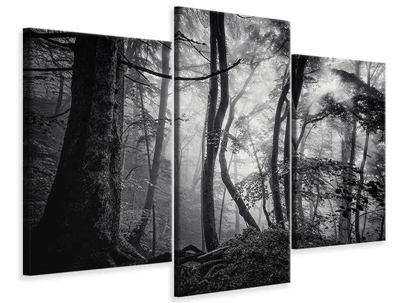 modern-3-piece-canvas-print-mysterious-light