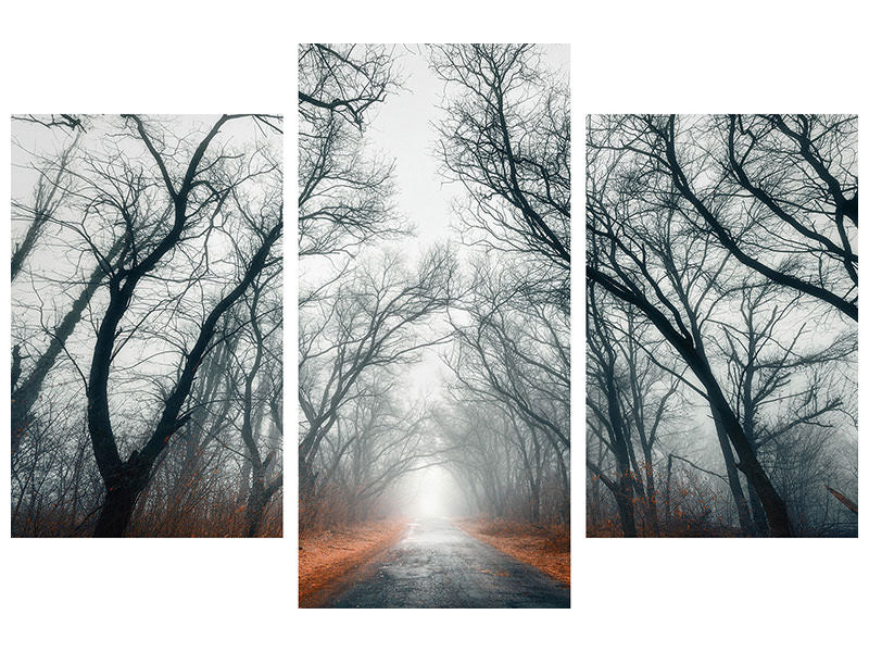 modern-3-piece-canvas-print-mysterious-mood-in-the-forest