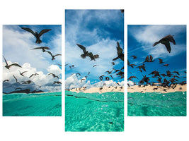 modern-3-piece-canvas-print-ocean-bird