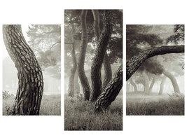 modern-3-piece-canvas-print-pine-grove-in-fog