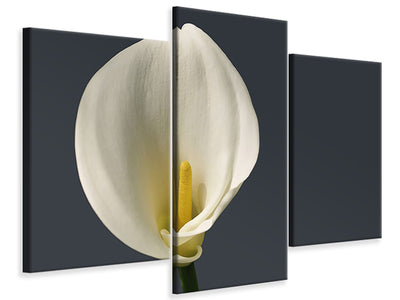 modern-3-piece-canvas-print-proud-calla