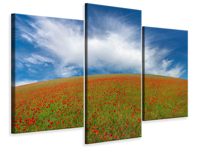 modern-3-piece-canvas-print-red-poppies