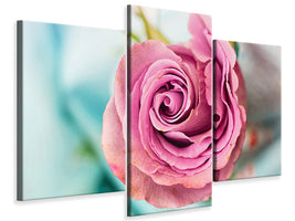 modern-3-piece-canvas-print-roseblossom-in-pink