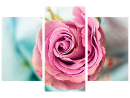 modern-3-piece-canvas-print-roseblossom-in-pink