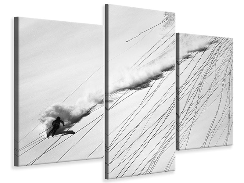 modern-3-piece-canvas-print-skiing-powder