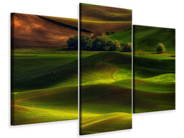 modern-3-piece-canvas-print-spring-in-the-palouse
