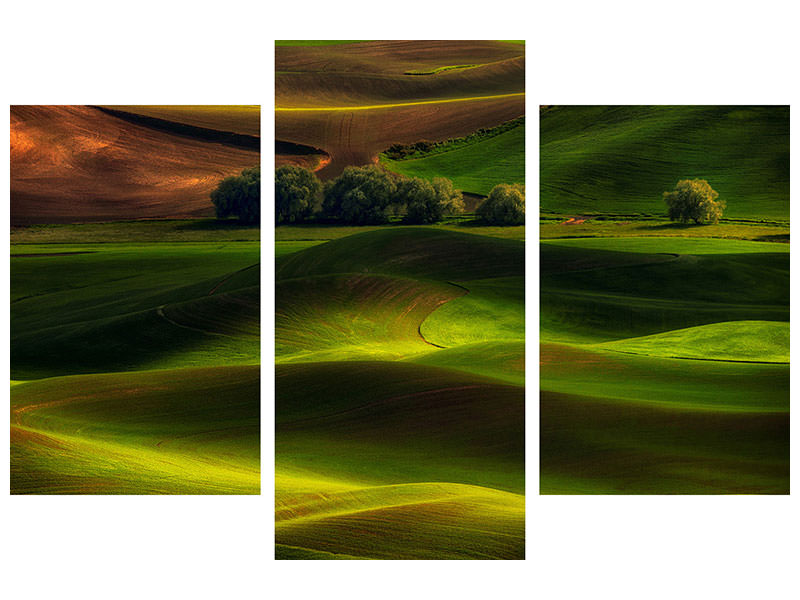modern-3-piece-canvas-print-spring-in-the-palouse