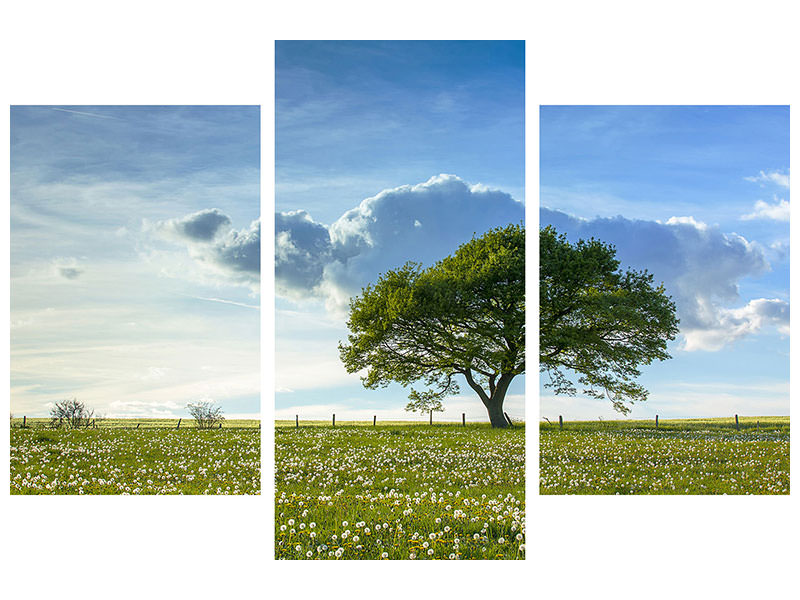 modern-3-piece-canvas-print-spring-tree