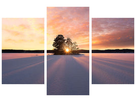 modern-3-piece-canvas-print-sun-kissed