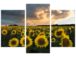 modern-3-piece-canvas-print-sunflowers-in-sweden