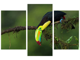 modern-3-piece-canvas-print-the-colors-of-costa-rica