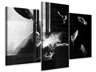 modern-3-piece-canvas-print-the-man-of-pigeons