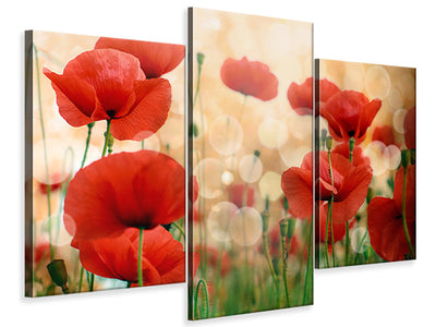 modern-3-piece-canvas-print-the-poppy