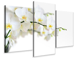 modern-3-piece-canvas-print-white-orchids