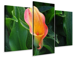 modern-3-piece-canvas-print-wild-calla