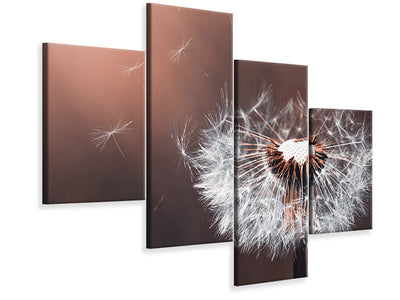 modern-4-piece-canvas-print-dandelion-in-the-evening-light