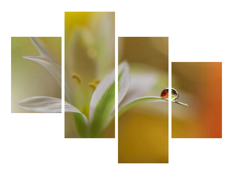 modern-4-piece-canvas-print-sound-of-colors