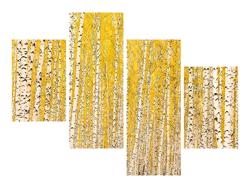 modern-4-piece-canvas-print-the-birch-forest-in-autumn