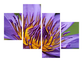 modern-4-piece-canvas-print-xxl-water-lily-in-purple