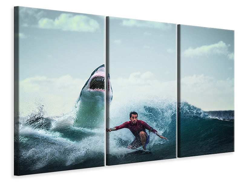 p-3-piece-canvas-print-attention-shark