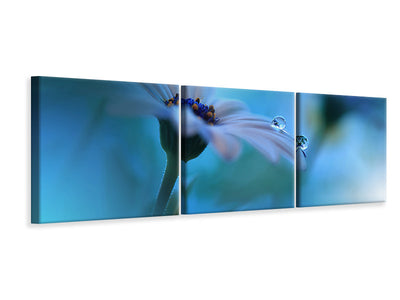 panoramic-3-piece-canvas-print-beyond-the-visible