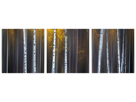 panoramic-3-piece-canvas-print-curtain-of-fall