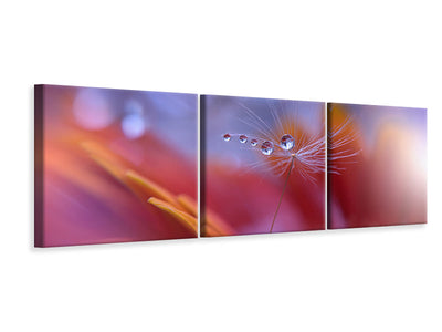 panoramic-3-piece-canvas-print-dance-in-the-light