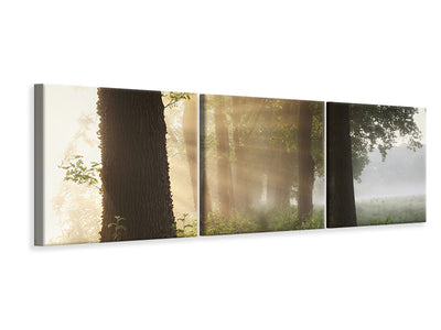 panoramic-3-piece-canvas-print-first-day-of-summer