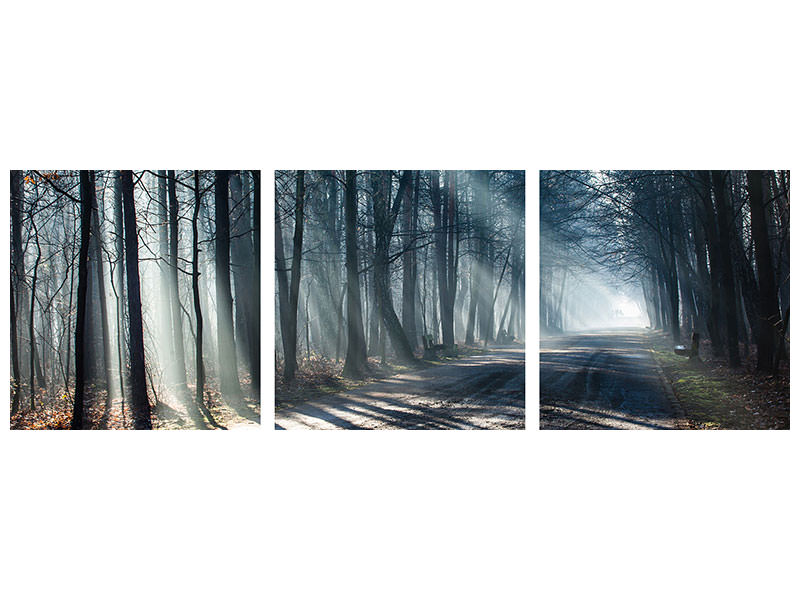 panoramic-3-piece-canvas-print-forest-in-the-light-beam