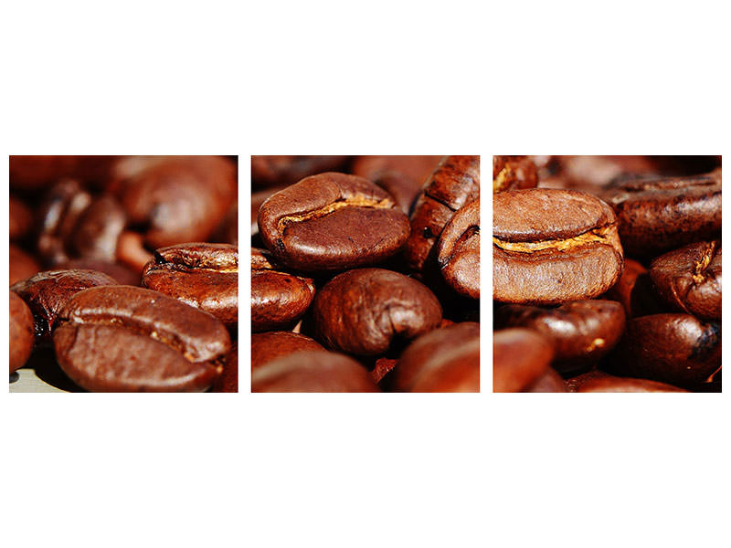 panoramic-3-piece-canvas-print-giant-coffee-beans