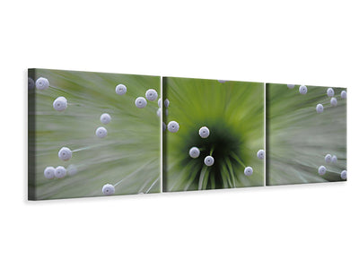 panoramic-3-piece-canvas-print-green-and-white-ii