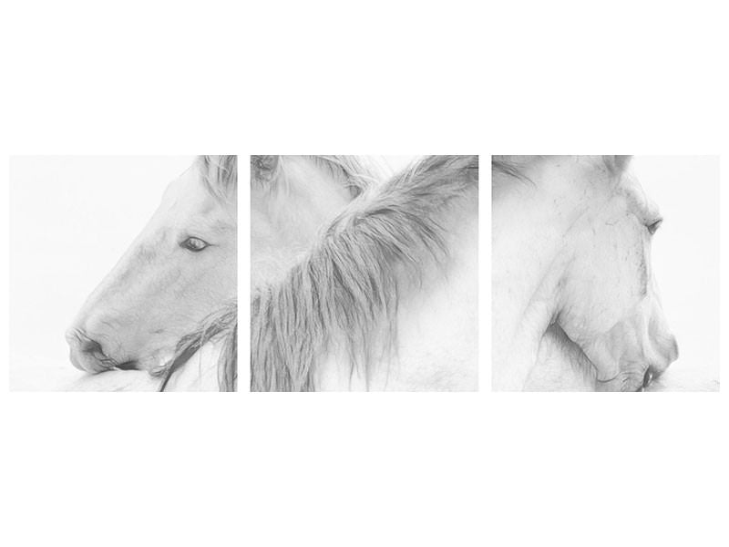 panoramic-3-piece-canvas-print-horses
