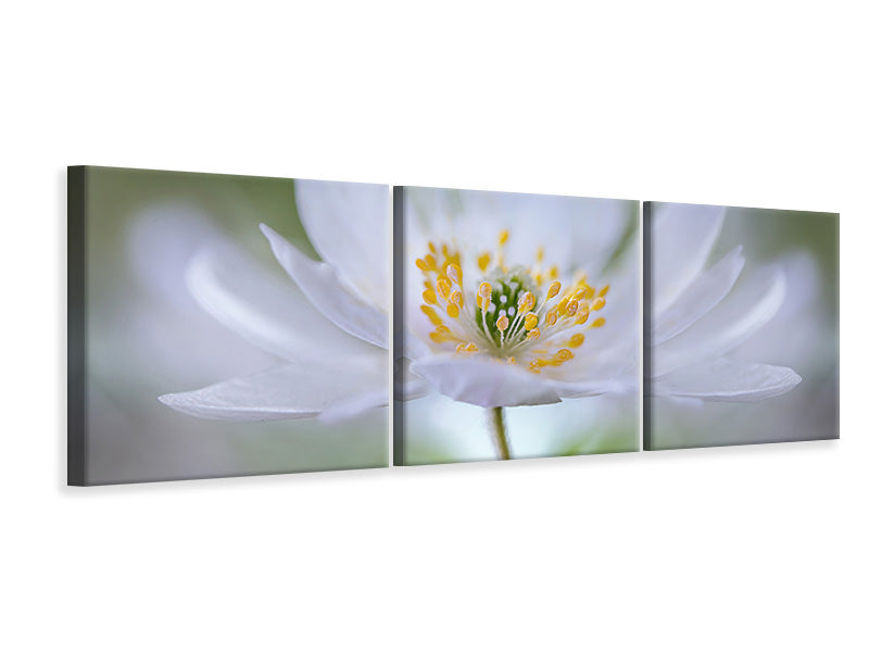 panoramic-3-piece-canvas-print-nemorosa-nirvana