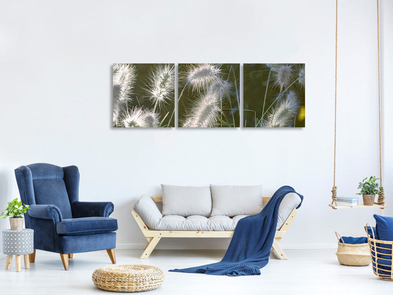 panoramic-3-piece-canvas-print-ornamental-grasses-in-xl