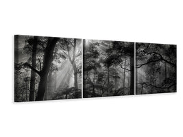 panoramic-3-piece-canvas-print-primary-forest