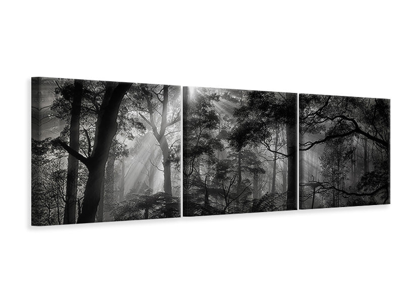 panoramic-3-piece-canvas-print-primary-forest