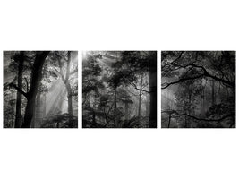 panoramic-3-piece-canvas-print-primary-forest