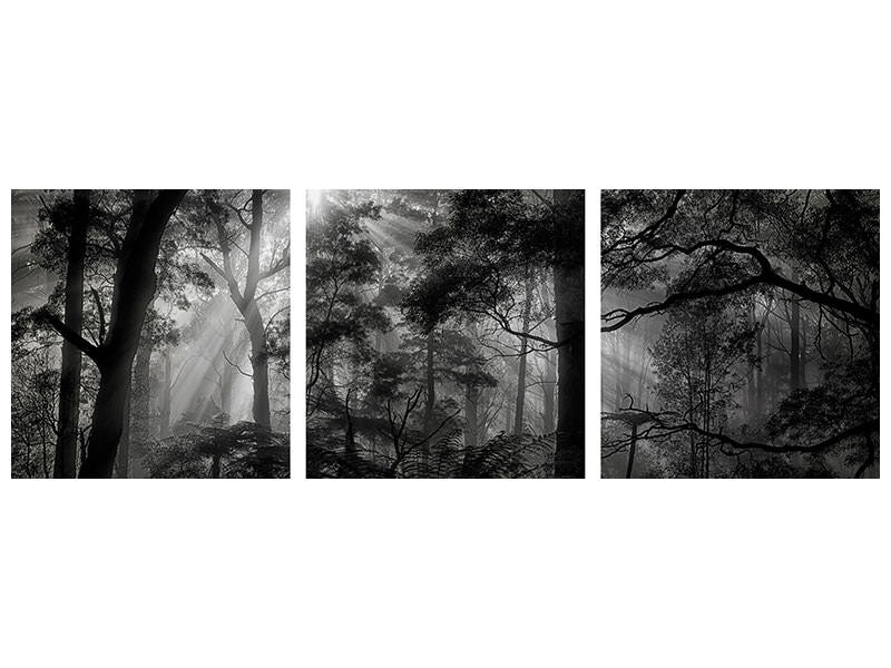 panoramic-3-piece-canvas-print-primary-forest