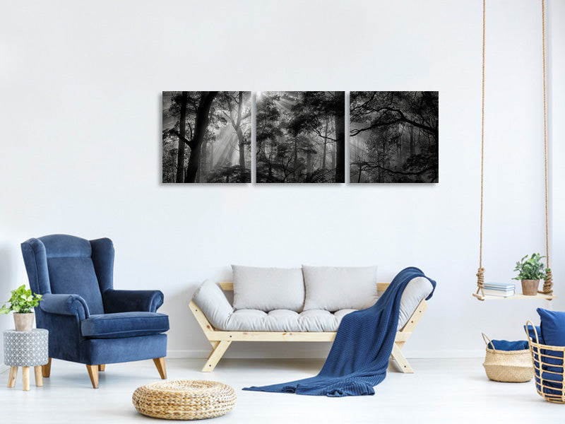 panoramic-3-piece-canvas-print-primary-forest